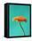 Orange Gerbera Daisy-Clive Nichols-Framed Premier Image Canvas