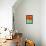 Orange Gerbera Daisy-Clive Nichols-Framed Premier Image Canvas displayed on a wall