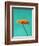 Orange Gerbera Daisy-Clive Nichols-Framed Photographic Print