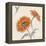 Orange Gerbera II-Chris Paschke-Framed Stretched Canvas