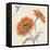 Orange Gerbera II-Chris Paschke-Framed Stretched Canvas