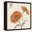 Orange Gerbera II-Chris Paschke-Framed Stretched Canvas