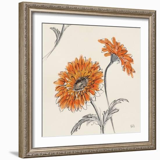 Orange Gerbera II-Chris Paschke-Framed Art Print