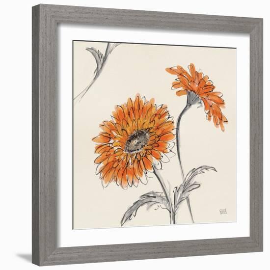 Orange Gerbera II-Chris Paschke-Framed Art Print