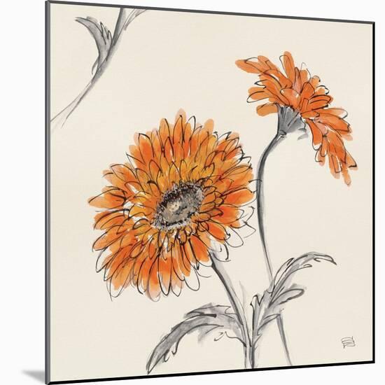 Orange Gerbera II-Chris Paschke-Mounted Art Print