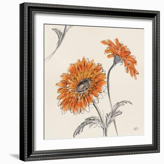 Orange Gerbera II-Chris Paschke-Framed Art Print