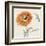 Orange Gerbera III-Chris Paschke-Framed Art Print