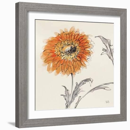 Orange Gerbera III-Chris Paschke-Framed Art Print