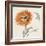 Orange Gerbera III-Chris Paschke-Framed Art Print