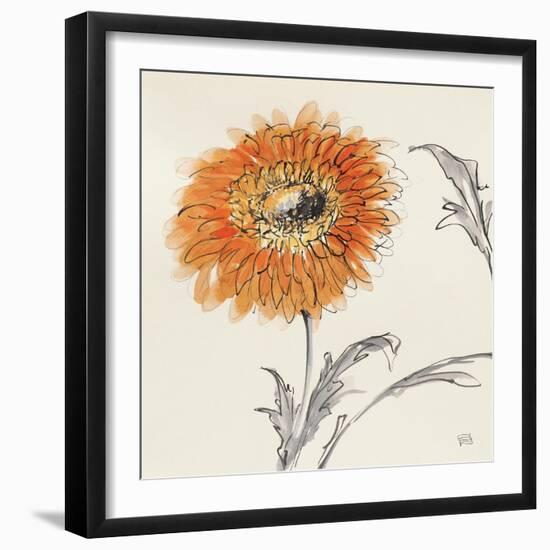 Orange Gerbera III-Chris Paschke-Framed Art Print