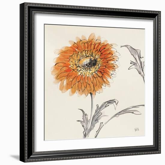 Orange Gerbera III-Chris Paschke-Framed Art Print