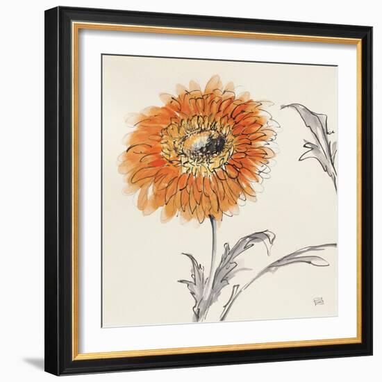 Orange Gerbera III-Chris Paschke-Framed Art Print
