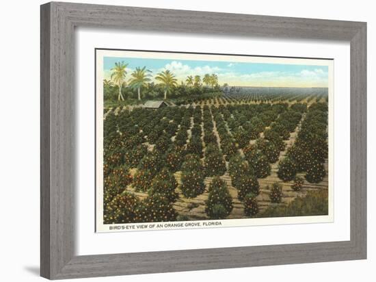 Orange Grove, Florida-null-Framed Art Print