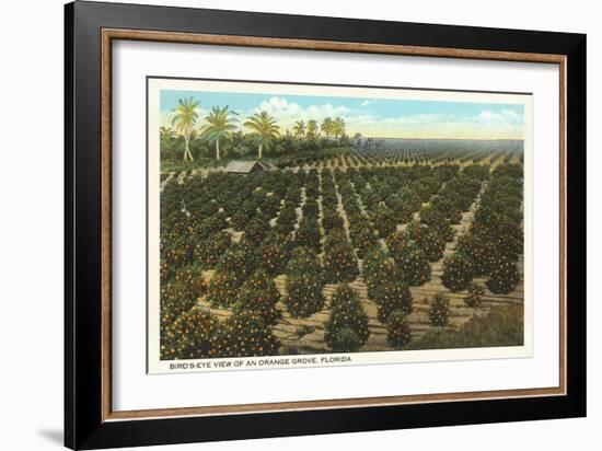 Orange Grove, Florida-null-Framed Art Print