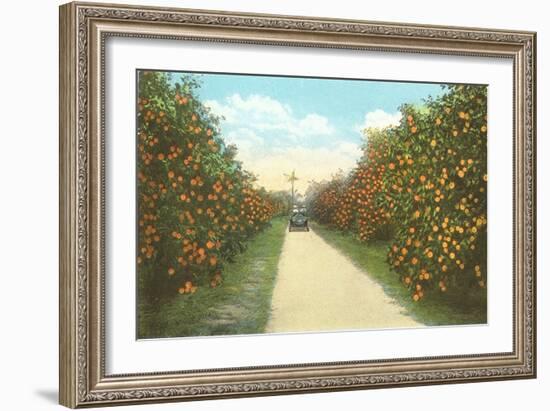 Orange Grove, Florida-null-Framed Premium Giclee Print