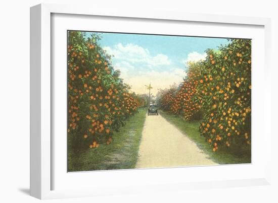 Orange Grove, Florida-null-Framed Premium Giclee Print