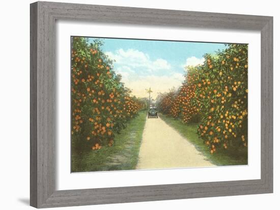 Orange Grove, Florida-null-Framed Art Print