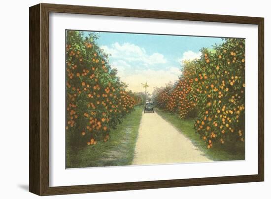 Orange Grove, Florida-null-Framed Art Print