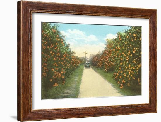 Orange Grove, Florida-null-Framed Art Print