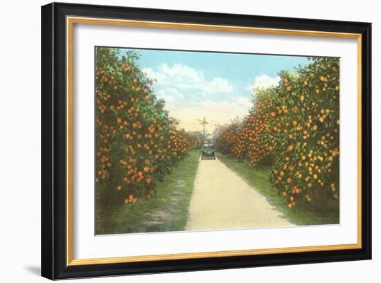 Orange Grove, Florida-null-Framed Art Print