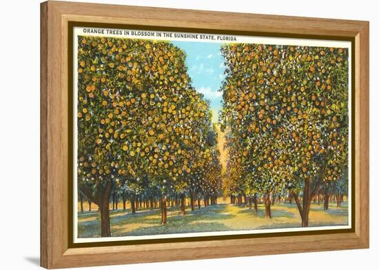 Orange Grove, Florida-null-Framed Stretched Canvas