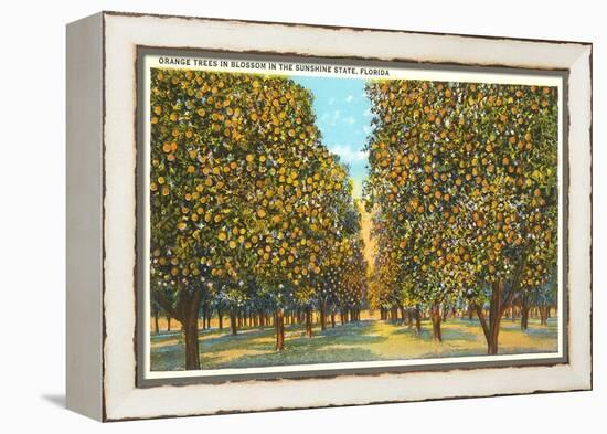 Orange Grove, Florida-null-Framed Stretched Canvas