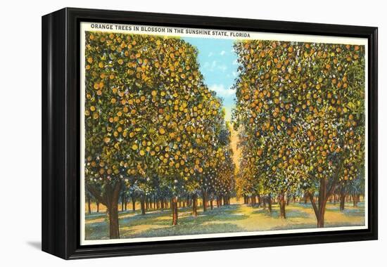 Orange Grove, Florida-null-Framed Stretched Canvas