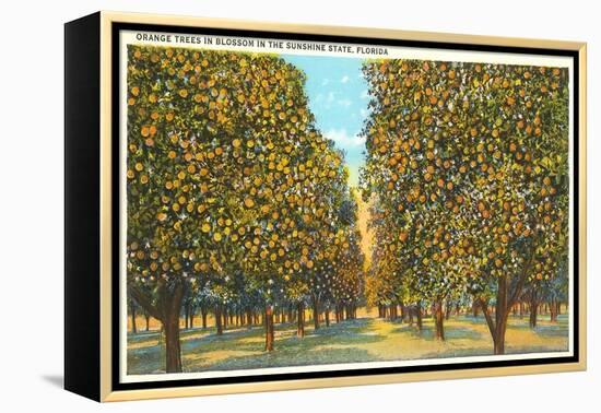 Orange Grove, Florida-null-Framed Stretched Canvas