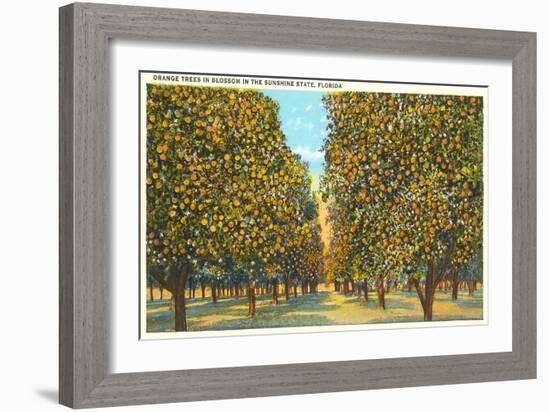 Orange Grove, Florida-null-Framed Art Print