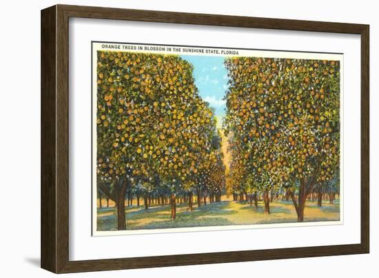 Orange Grove, Florida-null-Framed Art Print