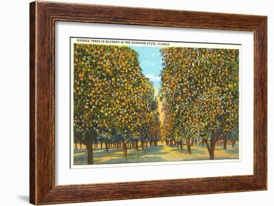 Orange Grove, Florida-null-Framed Art Print