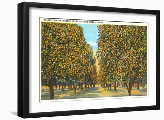 Orange Grove, Florida-null-Framed Art Print