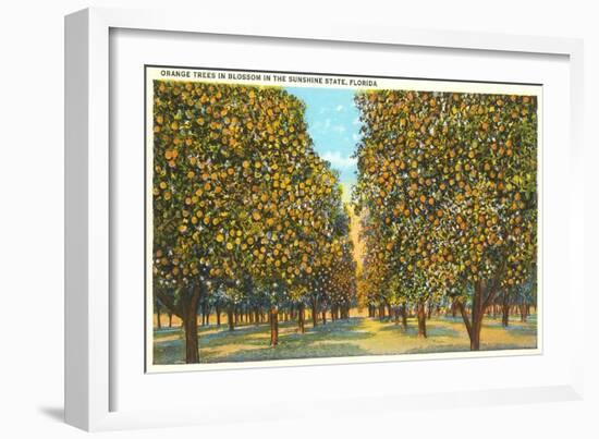 Orange Grove, Florida-null-Framed Art Print