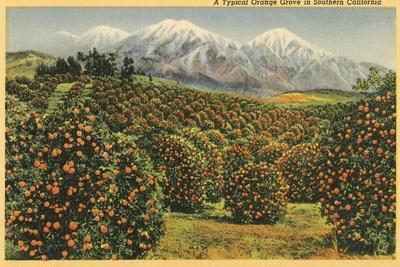 【セット商品】Orange&Parkアート（額あり）&カリフォルニアサインアート Orange Grove in Southern California' Art Print | Art.com
