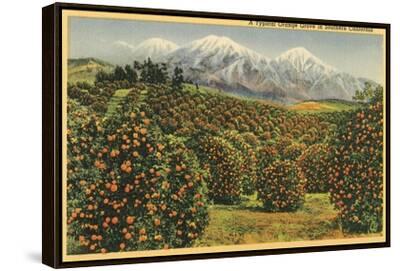 【セット商品】Orange&Parkアート（額あり）&カリフォルニアサインアート セット商品】Orange&Parkアート（額あり）&カリフォルニアサイン