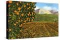 Stretched Canvas Print