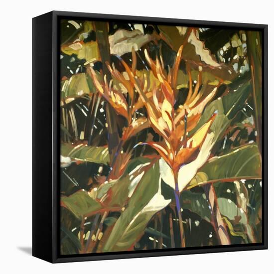 Orange Heleconia-Darrell Hill-Framed Premier Image Canvas