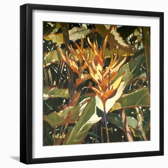 Orange Heleconia-Darrell Hill-Framed Giclee Print