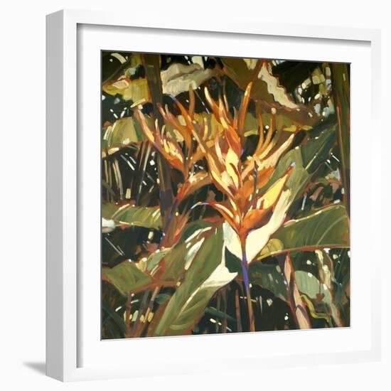 Orange Heleconia-Darrell Hill-Framed Giclee Print