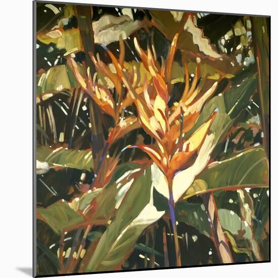 Orange Heleconia-Darrell Hill-Mounted Giclee Print