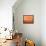 Orange I-Sharon Gordon-Framed Stretched Canvas displayed on a wall