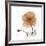 Orange Iceland Poppy-Albert Koetsier-Framed Premium Giclee Print