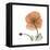 Orange Iceland Poppy-Albert Koetsier-Framed Stretched Canvas