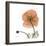 Orange Iceland Poppy-Albert Koetsier-Framed Stretched Canvas