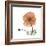 Orange Iceland Poppy-Albert Koetsier-Framed Premium Giclee Print