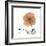 Orange Iceland Poppy-Albert Koetsier-Framed Premium Giclee Print