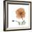 Orange Iceland Poppy-Albert Koetsier-Framed Premium Giclee Print