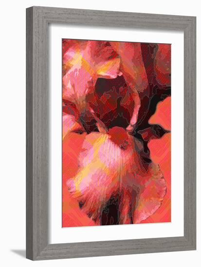 Orange Iris-Scott J. Davis-Framed Giclee Print