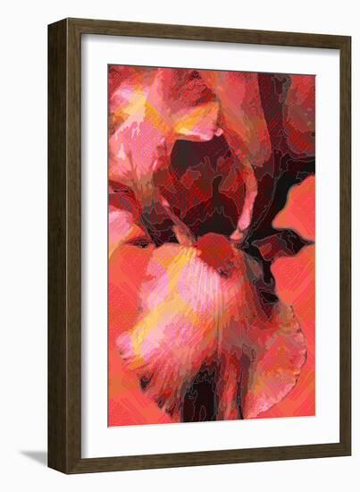Orange Iris-Scott J. Davis-Framed Giclee Print