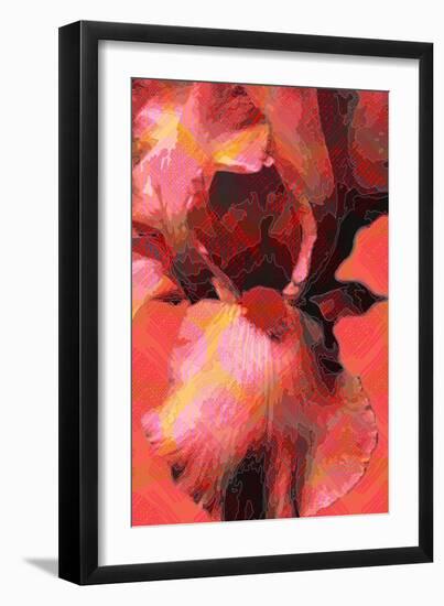 Orange Iris-Scott J. Davis-Framed Giclee Print